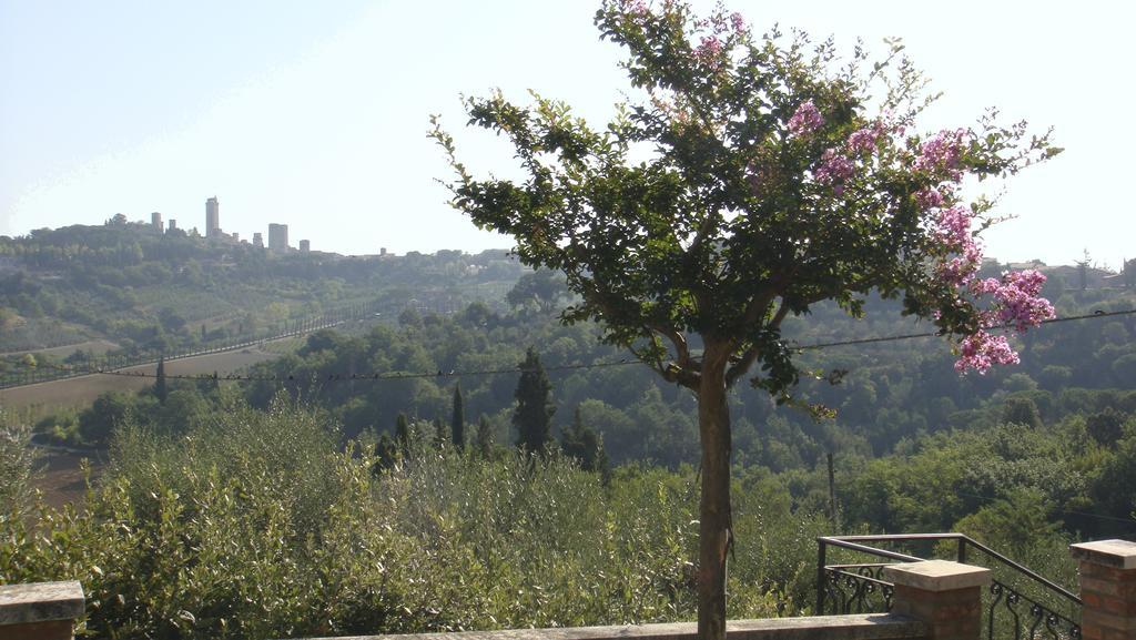 Agriturismo Raccianello San Gimignano Exterior foto